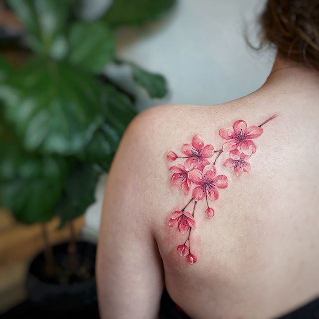 50+ Shoulder Tattoo For Woman:Cherry Blossom Water Color Shoulder .