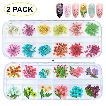 Amazon.com: GOTONE 120pcs Dried Flowers 3D Nail Art Stickers .