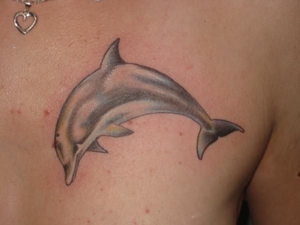 dolphin | Dolphins tattoo, Tattoos, Tummy tatt