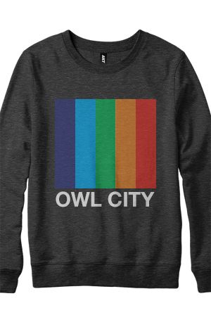 Color Bars Crewneck Sweatshirt (Heather Black) | Owl city, Crew .