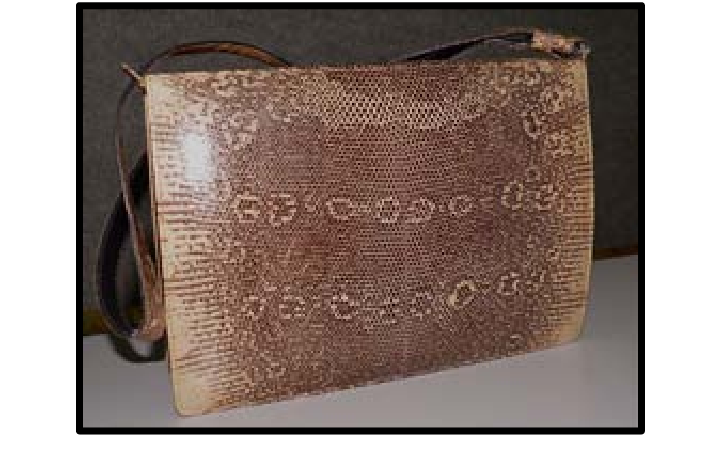 A seized reptile leather bag made of Varanus salvator skin. These .