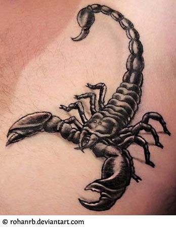 Scorpion Tattoo Ideas 99 Scorpion Tattoos | Scorpio Tattoo Designs .