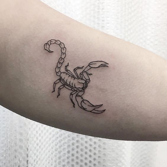 Scorpion Tattoo Ideas - Topstoryfe