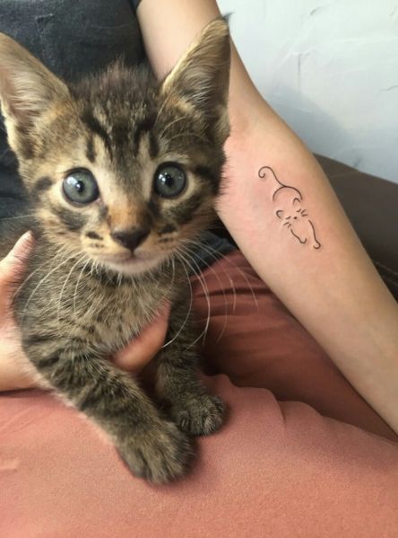 33 trendy tattoo tiny cat kittens in 2020 | Cat tattoo small, Cat .