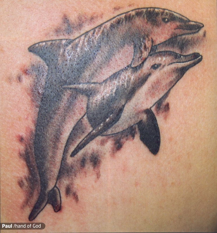 Dolphin Men Tattoos