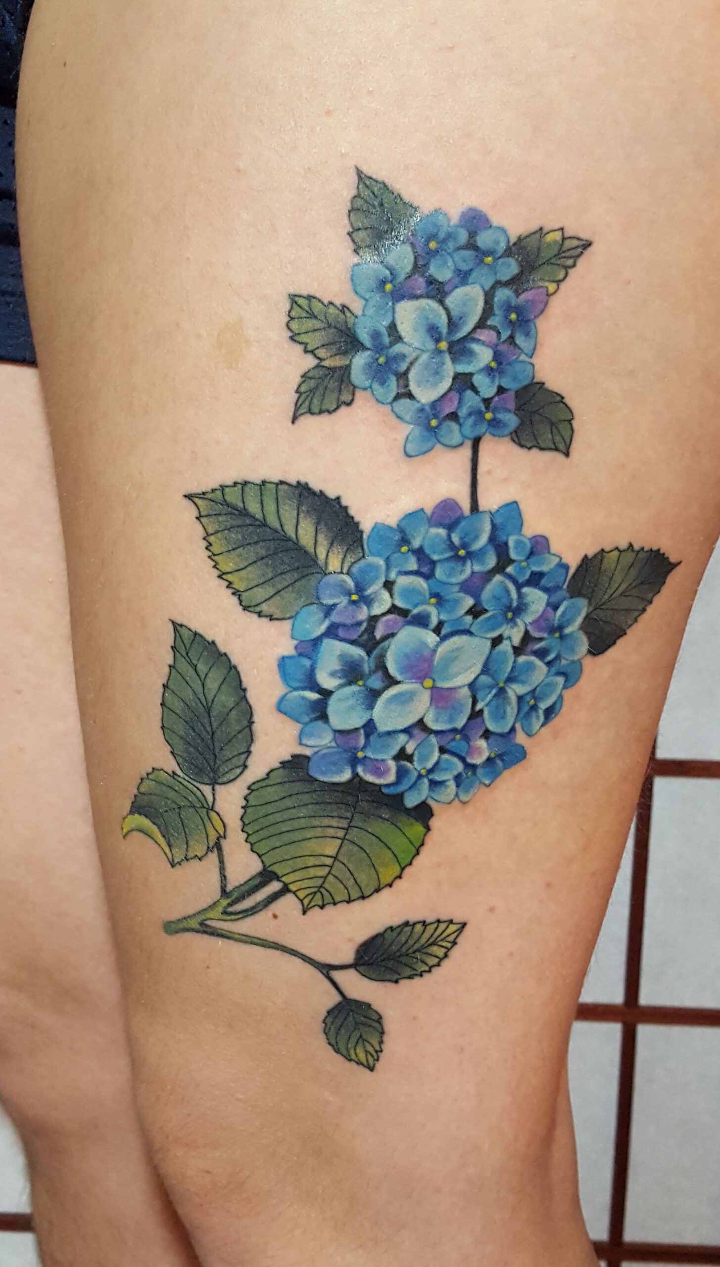 Hydrangea Women Tattoos