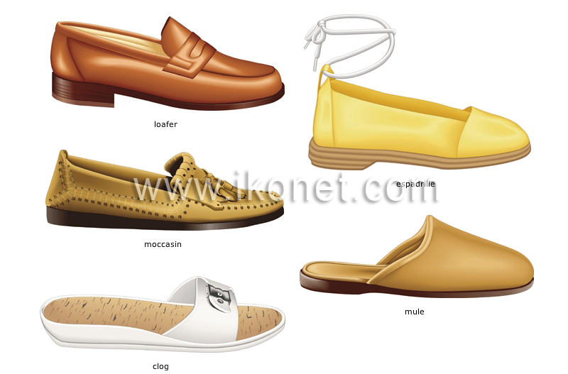 Clothing > Shoes > Unisex Shoes Image – Visual Dictiona” loading=”lazy” ><br /><img width=