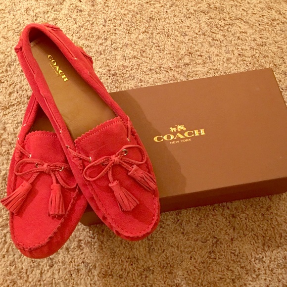 Trainer Shoes |  Brand new moccasins for women Size10 |  Poshma