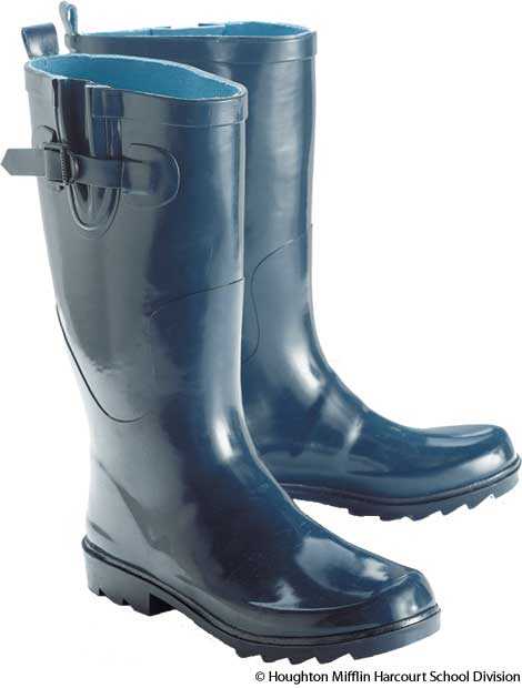 Wellington Boot Dictionary Definition |  define rubber boots