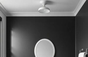 Timeless Elegance: Embracing the Charm of Black-and-White Vintage Bathrooms Timeless Elegance: Embracing the Charm of Black-and-White Vintage Bathrooms