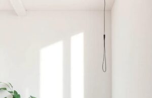 Transform Your Space: Embrace Serenity with Simple Bedrooms and Indoor Plants Transform Your Space: Embrace Serenity with Simple Bedrooms and Indoor Plants