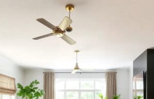 Embrace the Trend: Elevate Your Living Room with Modern Boho Rugs Embrace the Trend: Elevate Your Living Room with Modern Boho Rugs