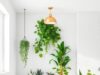 29 Stunning Bathroom Plant Decor Ideas to Transform Your Space into a Relaxing Oasis 29 Stunning Bathroom Plant Decor Ideas to Transform Your Space into a Relaxing Oasis