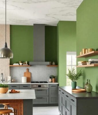 25 Inspiring Ideas for Green Kitchen Walls Paired with Stylish Grey Cabinets 25 Inspiring Ideas for Green Kitchen Walls Paired with Stylish Grey Cabinets
