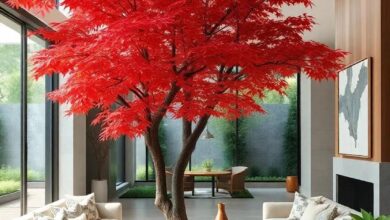 The Japanese Maple: A Striking Centerpiece for Elegant Garden Spaces