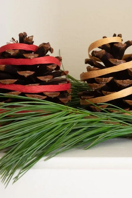 Large pinecones on mantel