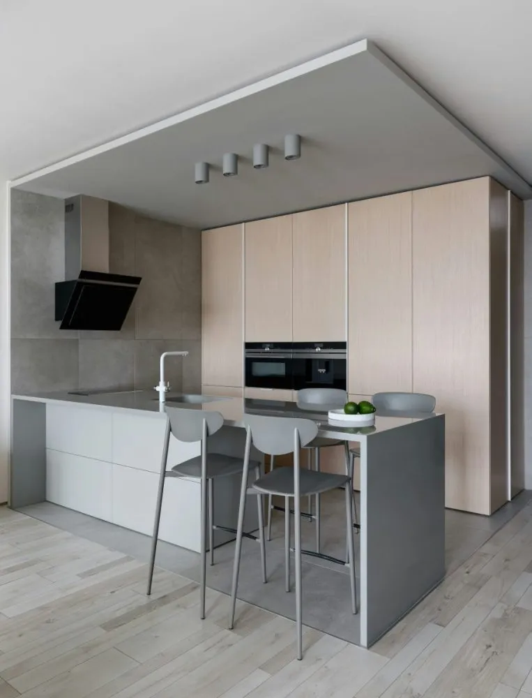 Minimalist kitchen with gray and wood tones