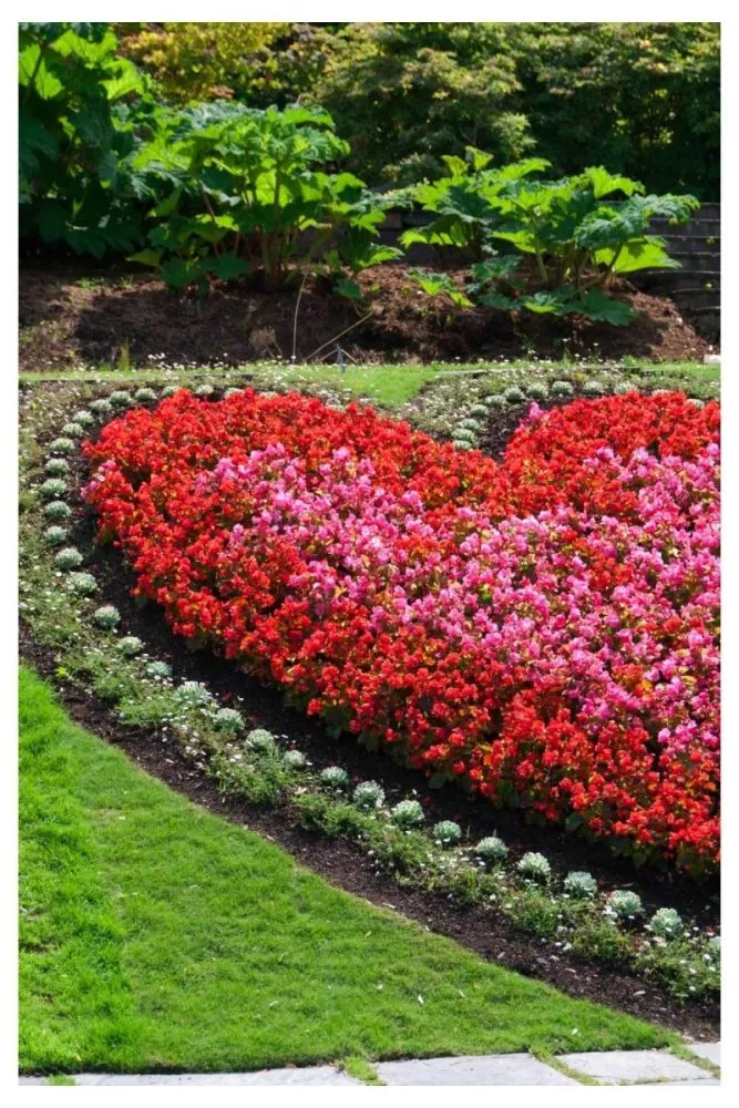 Playful Shape-Defined Flower Beds