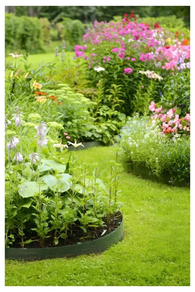 Flowing Curved Borders with Harmonious Color Blends
