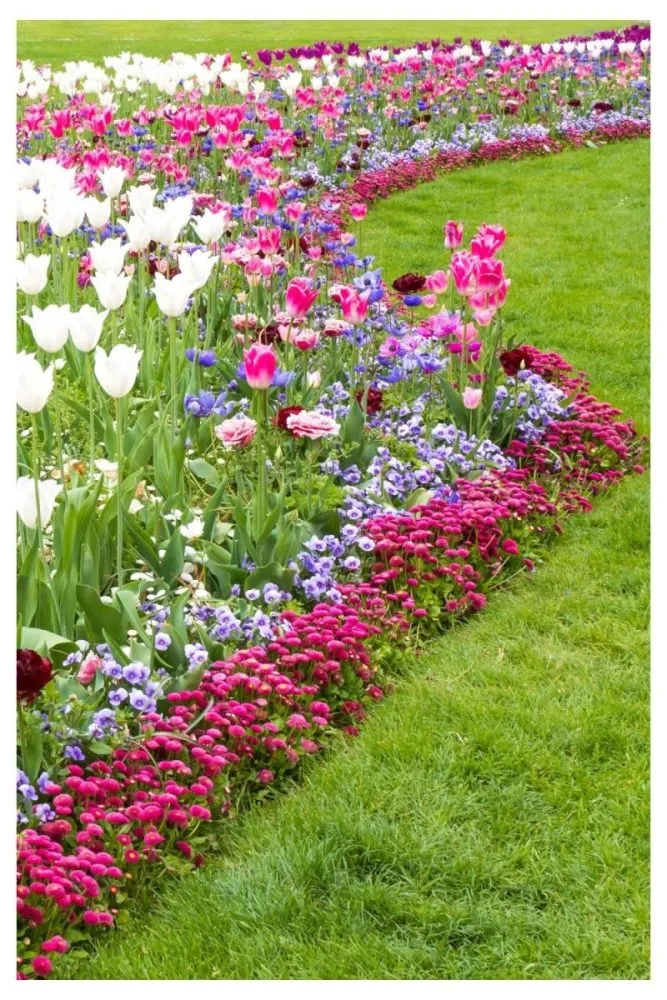 Creating a Pollinator Haven