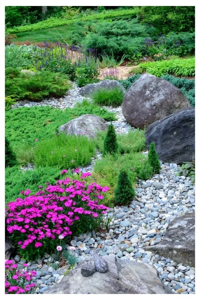 Drought-Resistant Rock Garden Beds