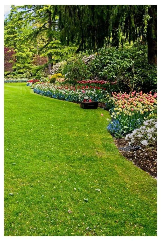 Narrow Side Yard Beds to Maximize Tight Spaces
