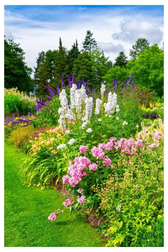 Combining Ornamental Grasses with Flowers