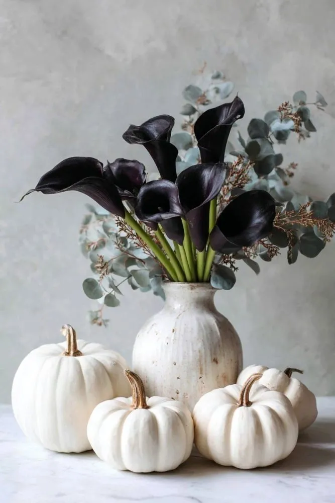 White Pumpkins with Dark Floral Centerpiece