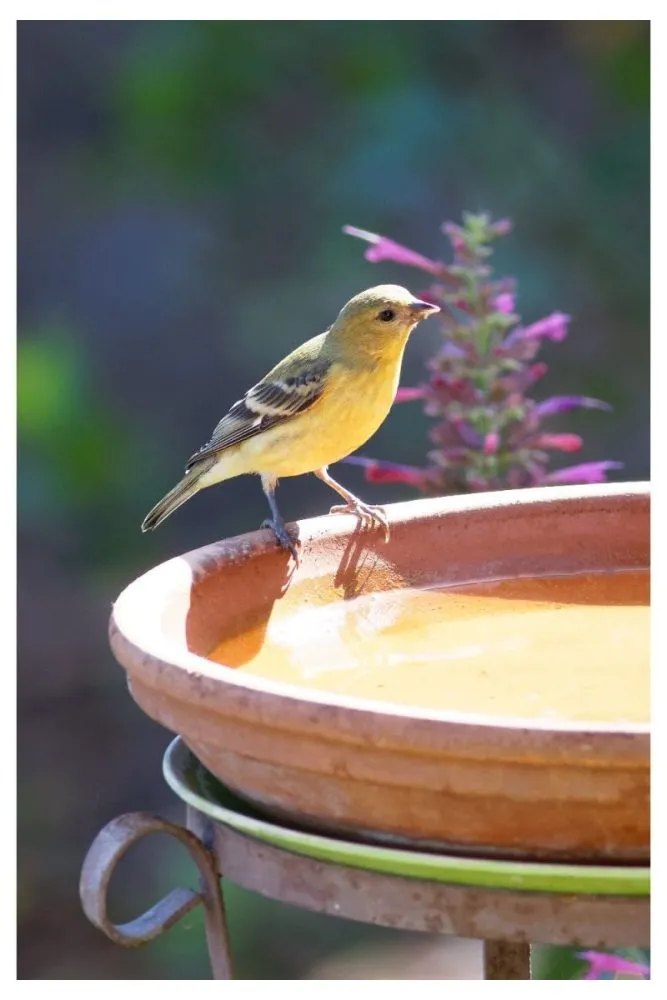 Upcycled Porcelain Bowl Bird Bath