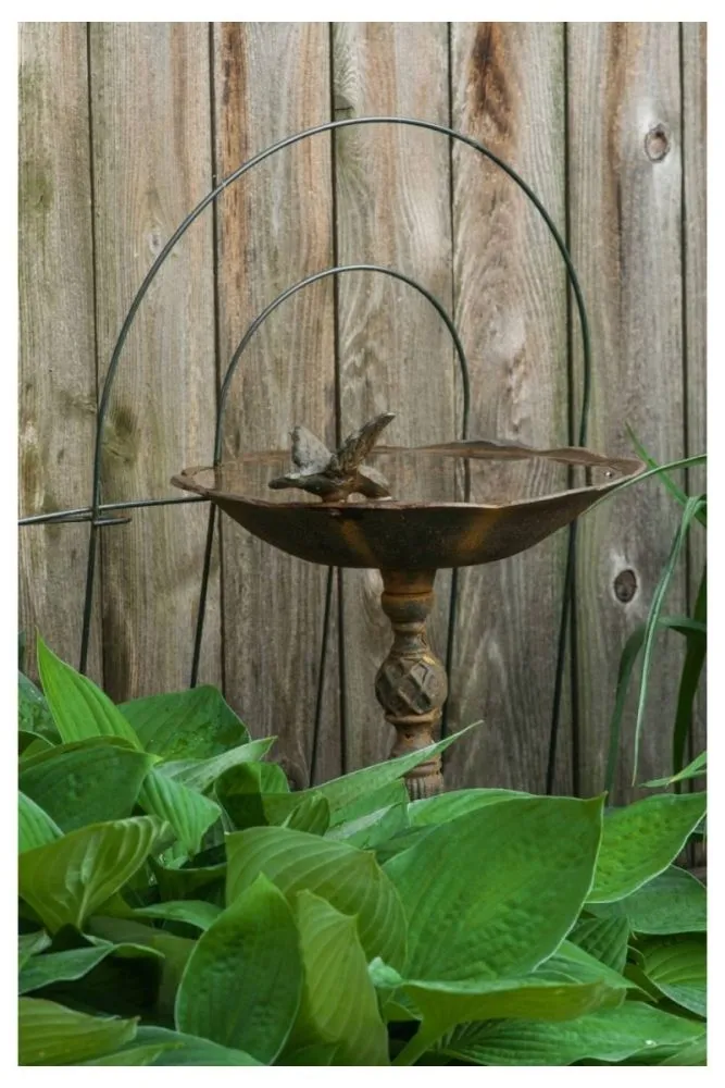 Elevated Iron Bird Bath with Legs