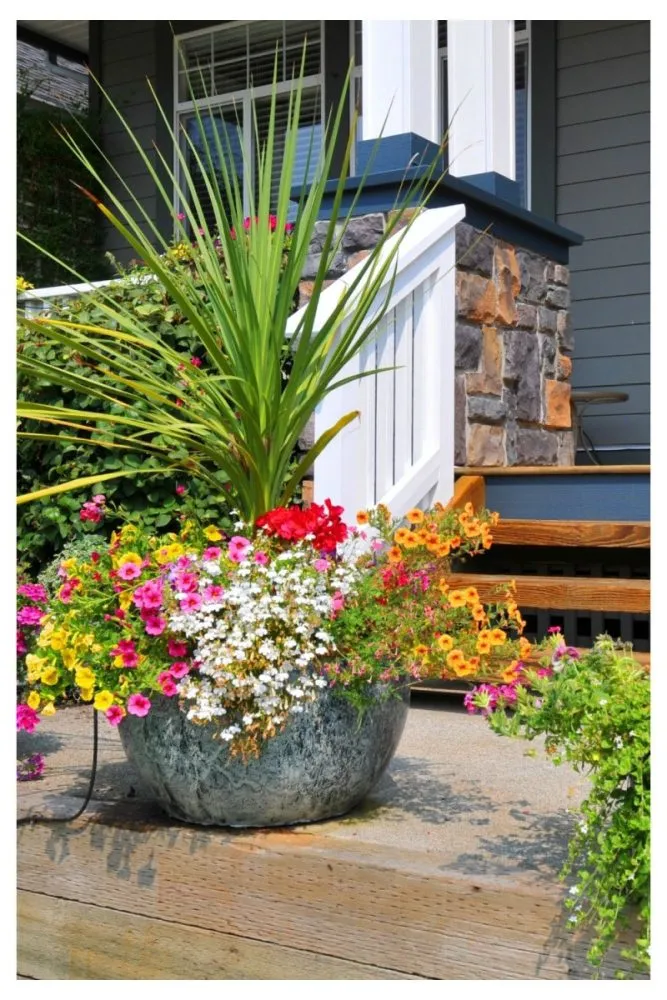 Cement planters with structured greenery