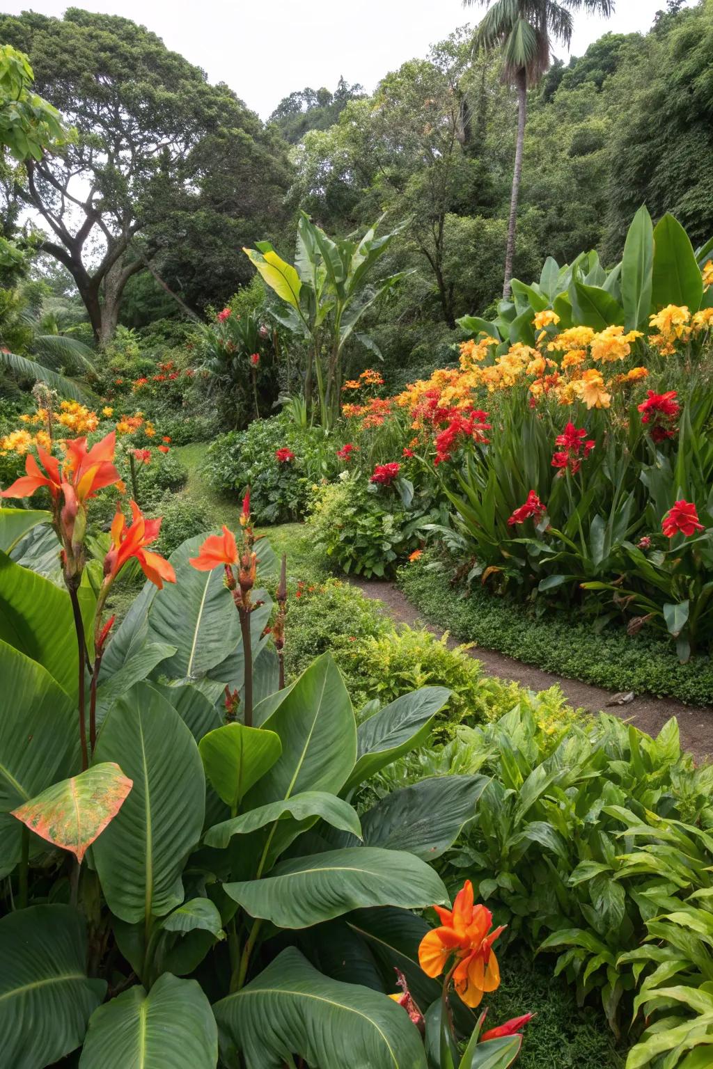 Backyard tropical oasis featuring canna lilies.