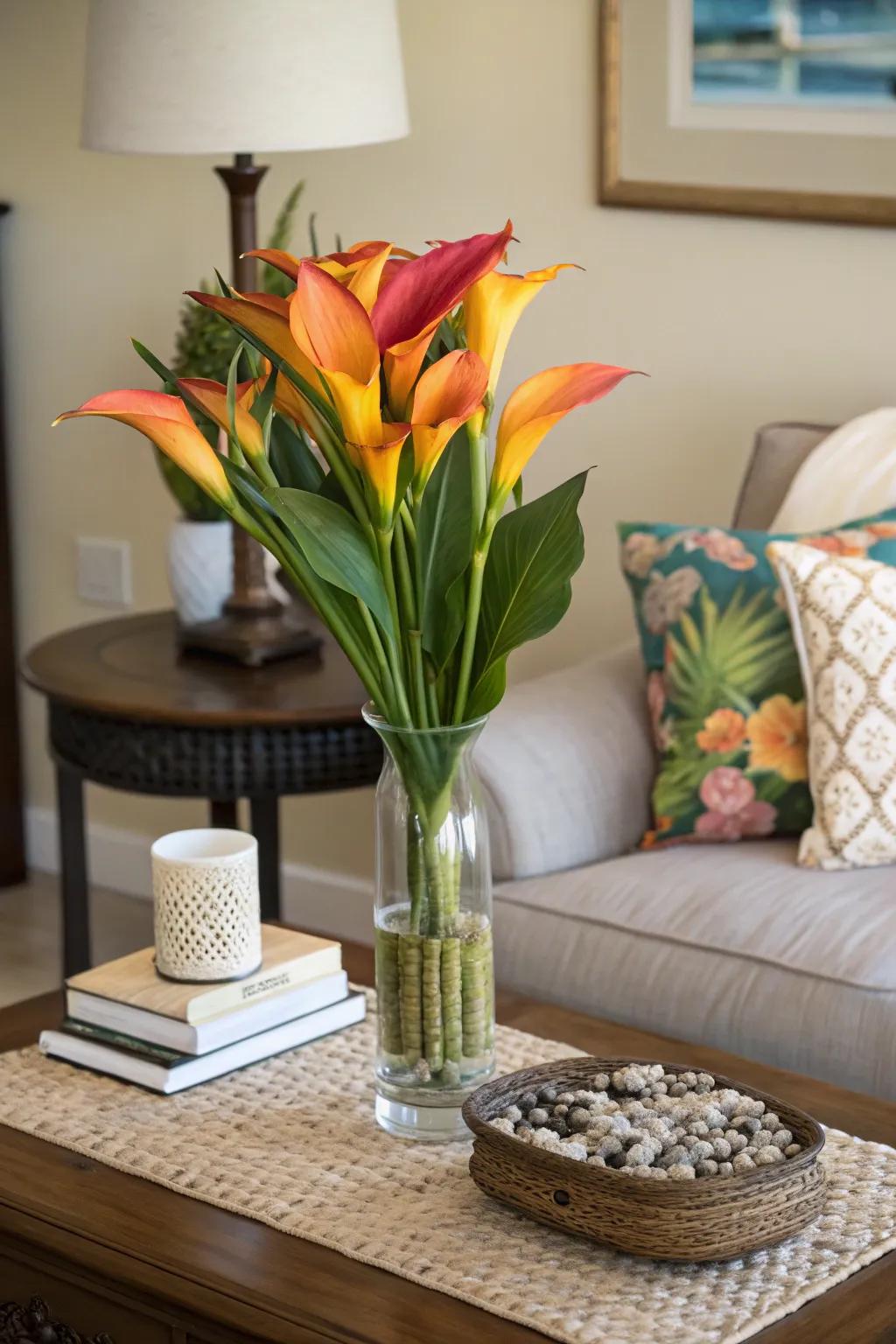 Indoor canna lily display adding tropical charm.