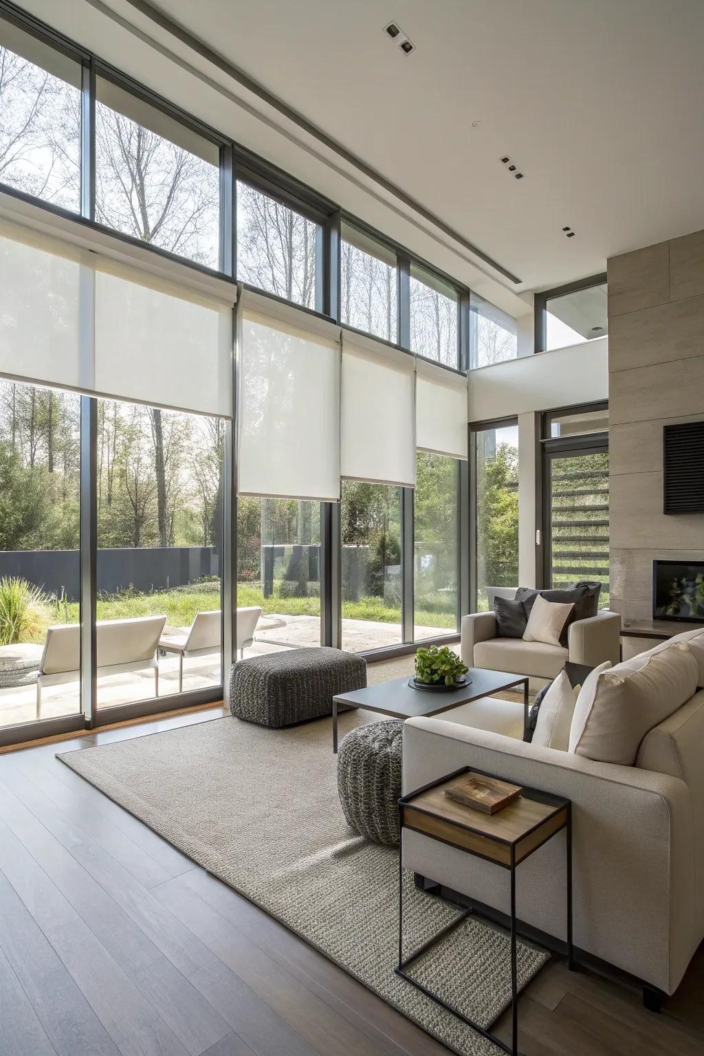 Roller shades provide minimalist privacy solutions.