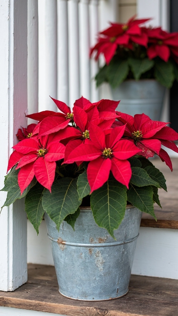 rustic farmhouse christmas d cor charm