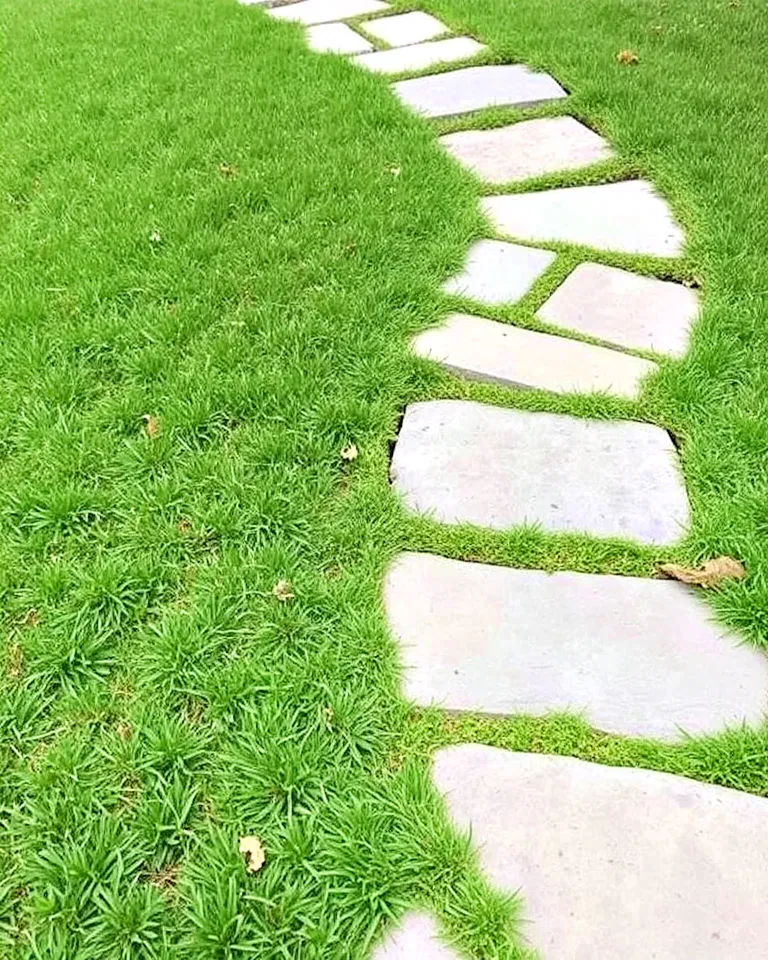 stepping stone farmhouse pathway